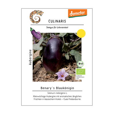 Auberginensamen, Aubergine ' Benarys Blaukönigin' Auberginensamen, Aubergine ' Benarys Blaukönigin'