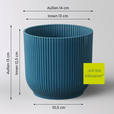 Einblatt 'Bellini', weiß, Topf-Ø 13 cm, in Übertopf Vibes blau, 2 Pflanzen