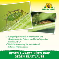 Neudorff Bestell-Set Nützlinge gegen Blattläuse, für bis zu 10 m² Neudorff Bestell-Set Nützlinge gegen Blattläuse, für bis zu 10 m²