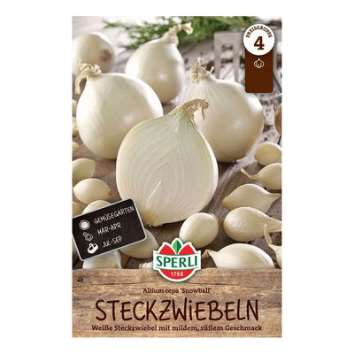 Sperli Steckzwiebel 'Snowball', 40 Zwiebeln Sperli Steckzwiebel 'Snowball', 40 Zwiebeln