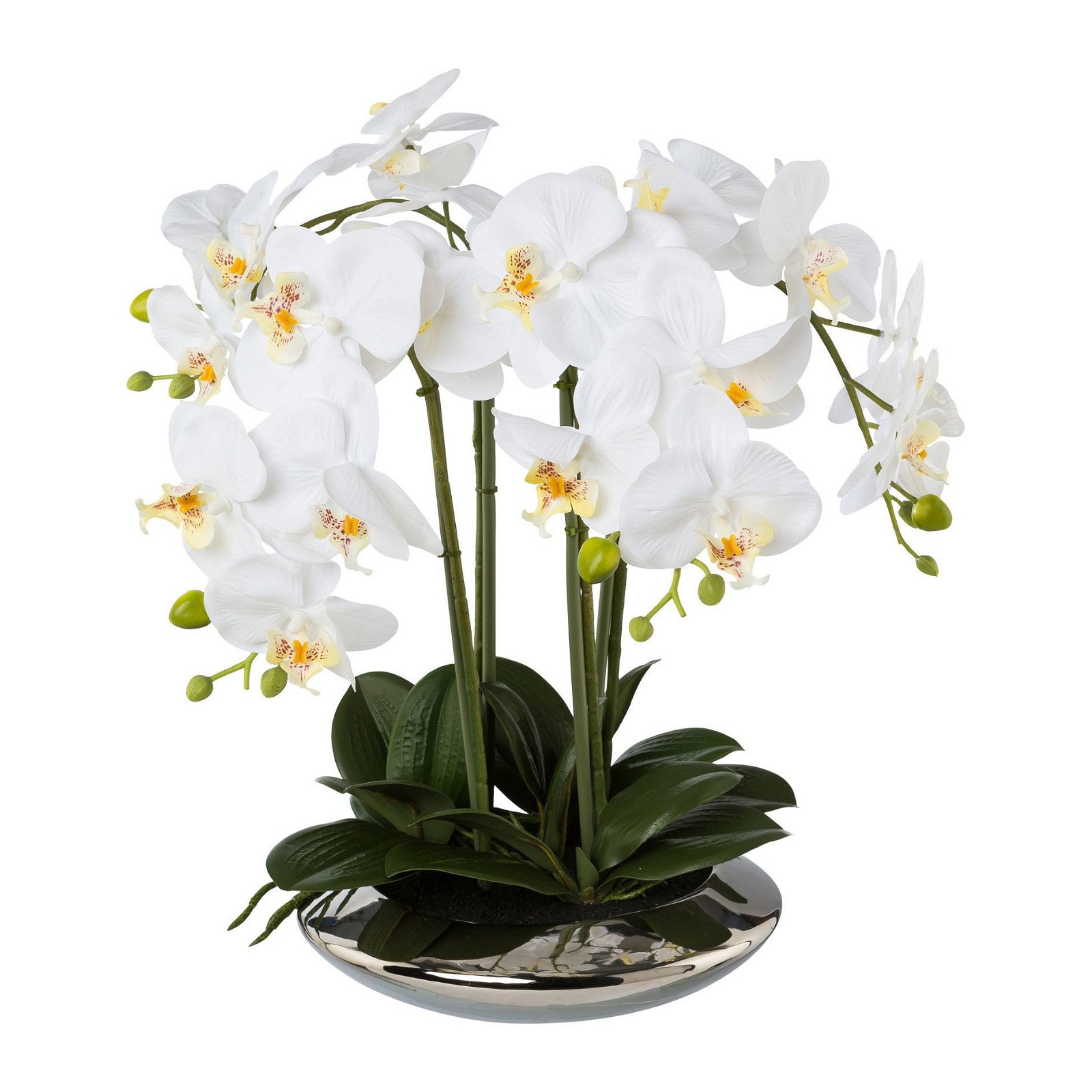 Kunstpflanze Phalaenopsis 'Real Touch', weiß, Topf-Ø 26 cm, Höhe ca. 41cm