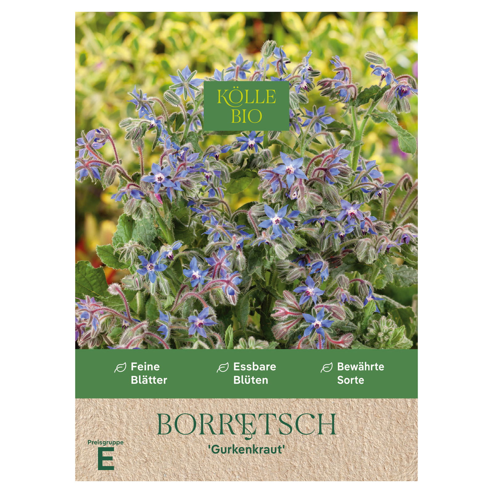 Kölle Bio Saatgut Borretsch Gurkenkraut, blau