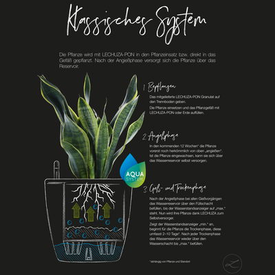 Lechuza 'Cube Cottage 40', lichtgrau, ca. 39 x 39 x H 40 cm Lechuza 'Cube Cottage 40', lichtgrau, ca. 39 x 39 x H 40 cm