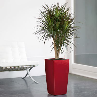 Lechuza 'Cubico 30', scarlet-rot, ca. 30 x 30 x H 56 cm Lechuza 'Cubico 30', scarlet-rot, ca. 30 x 30 x H 56 cm