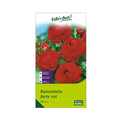 Ranunkel Aviv (Hahnenfuß) rot, 10 Blumenzwiebeln