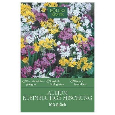 Zierlauch Allium, kleinblütig, 3 Sorten, Größe 4/+, 100 Blumenzwiebeln