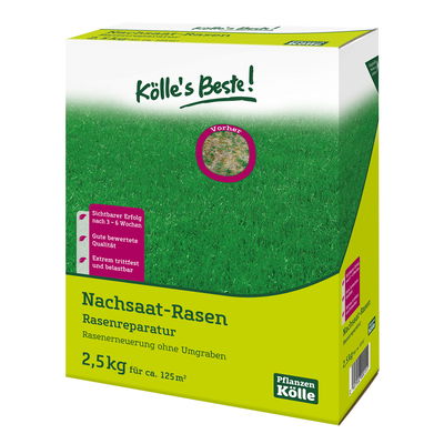 Kölles Beste Rasennachsaat 2,5 kg Kölles Beste Rasennachsaat 2,5 kg