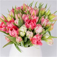 Blumenbund Tulpen 'Flash Point', 30er-Bund, rosa-weiß, inkl. gratis Grußkarte