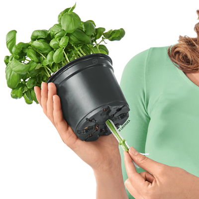 Lechuza 'Cube Color Triple', sandbraun, ca. 40 x 14 x H 13,5 cm