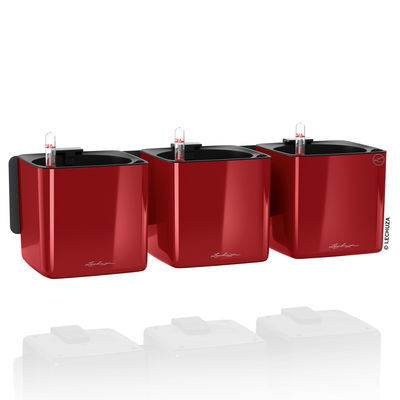 Lechuza 'Green Wall Home Kit Glossy', scarlet-rot highgloss Lechuza 'Green Wall Home Kit Glossy', scarlet-rot highgloss