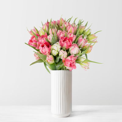 30 rosa/weiße Tulpen 'Flash Point'