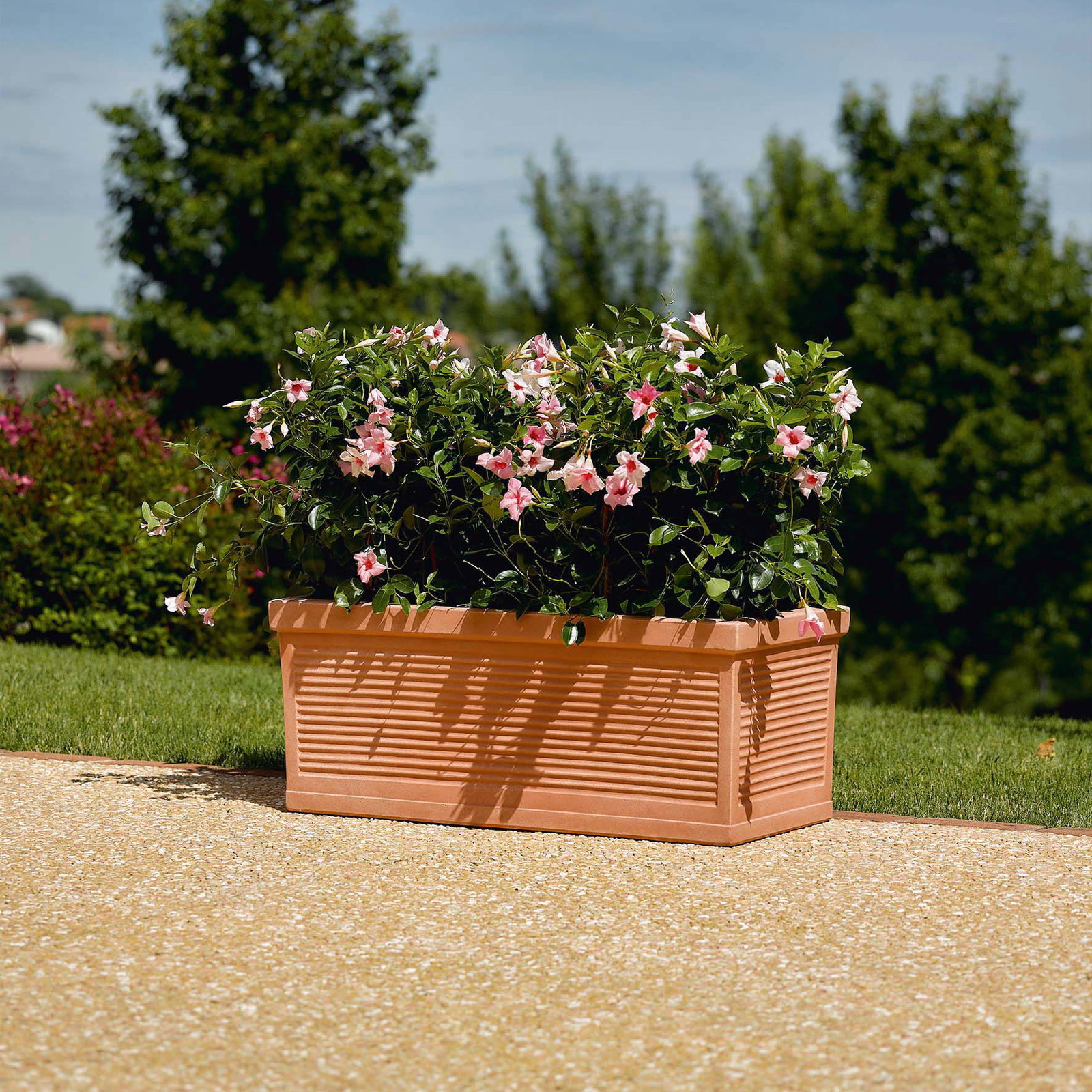 Euro 3 Plast Pflanzkasten 'Tere', terra, ca. 100 x 44 x H 38 cm