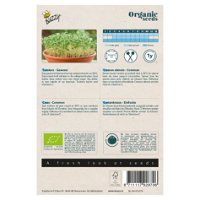 Saatgut, Gartenkresse 'Einfache', grün, 10 g