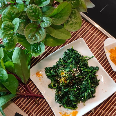 Blu Bio Malabarspinat, Topf-Ø 12 cm, 6er Set