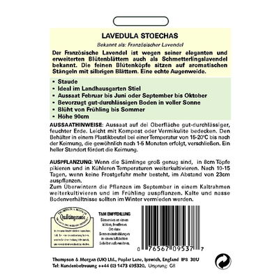 Thompson & Morgan Blumensamen Französischer Lavendel
