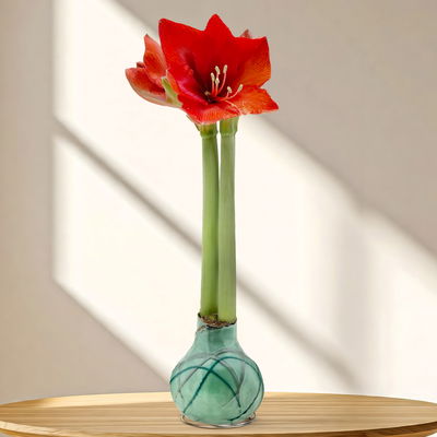 Amaryllis in Wachs XL, Dekor 'Forest Mix' Farbe zufällig, Blüte rot Amaryllis in Wachs XL, Dekor 'Forest Mix' Farbe zufällig, Blüte rot