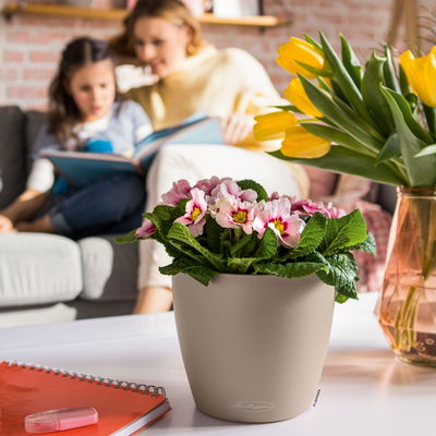 Lechuza 'Classico Color 28', sandbraun, ca. Ø 27,5 x H 26 cm Lechuza 'Classico Color 28', sandbraun, ca. Ø 27,5 x H 26 cm