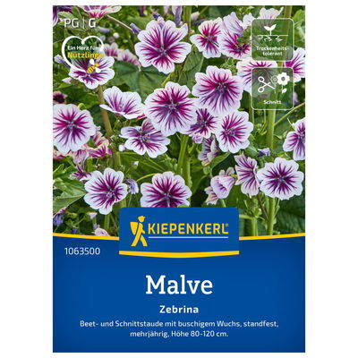 Blumensamen, Malve, 'Zebrina', pink, rosa & lila Blumensamen, Malve, 'Zebrina', pink, rosa & lila