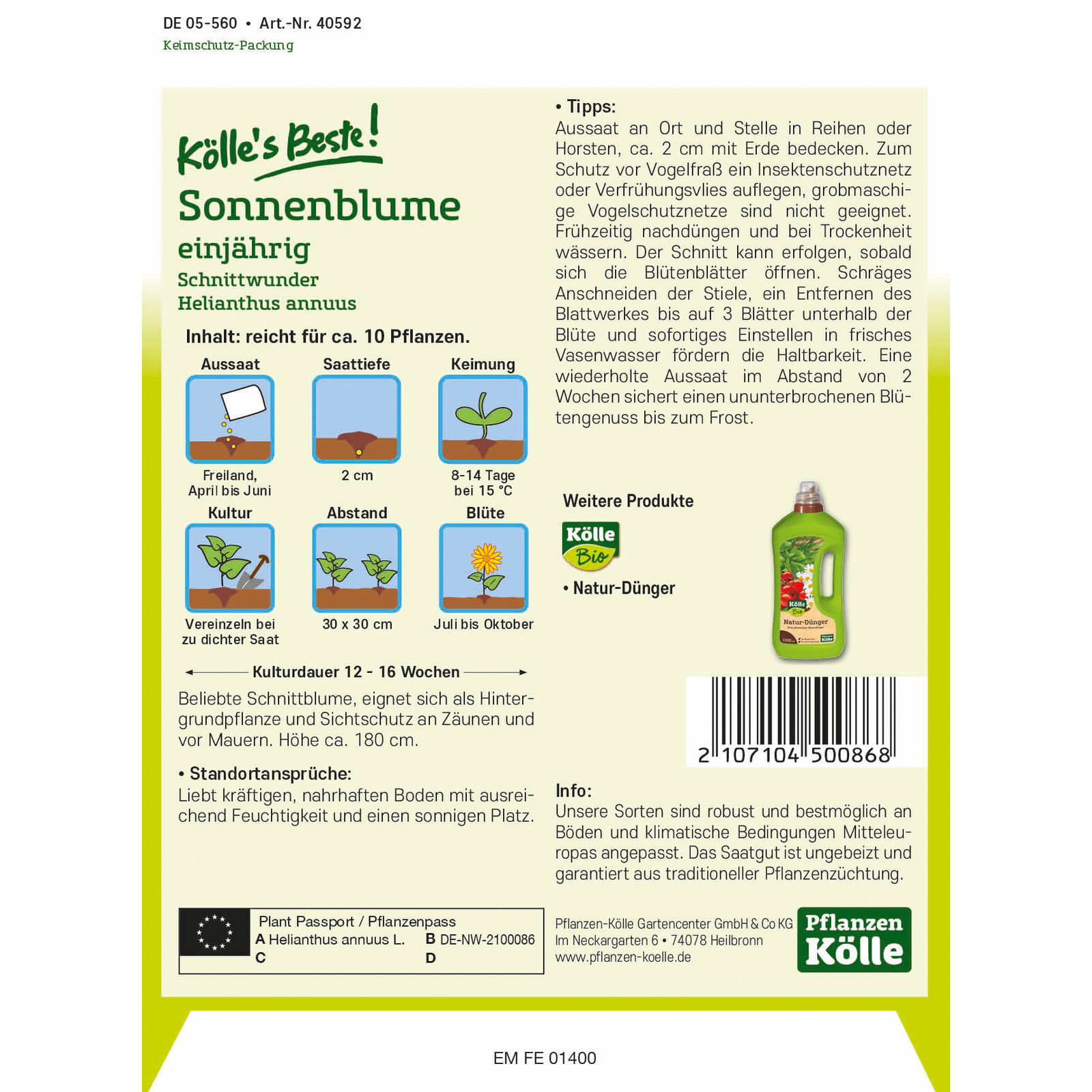 Kölle's Beste Blumensamen Sonnenblume 