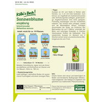 Kölle's Beste Blumensamen Sonnenblume 