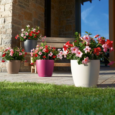 Lechuza 'Classico Color 18', schiefergrau, ca. Ø 19 x H 17 cm