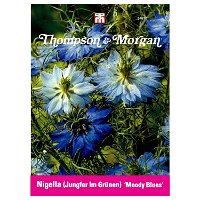 Thompson & Morgan Nigella (Jungfer im Grünen) 'Moody Blues'