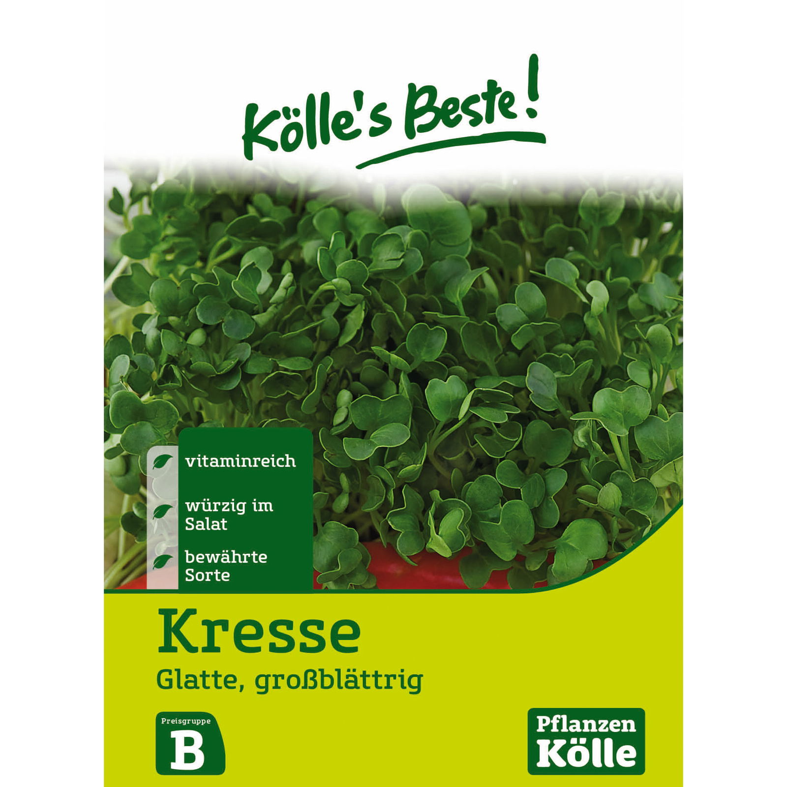 Kölle's Beste Kräutersamen Glatte Gartenkresse großblättrig