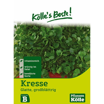 Kölles Beste Kräutersamen Glatte Gartenkresse großblättrig Kölles Beste Kräutersamen Glatte Gartenkresse großblättrig