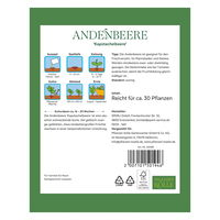 Kölles Beste Gemüsesamen, Andenbeere 'Kapstachelbeere'