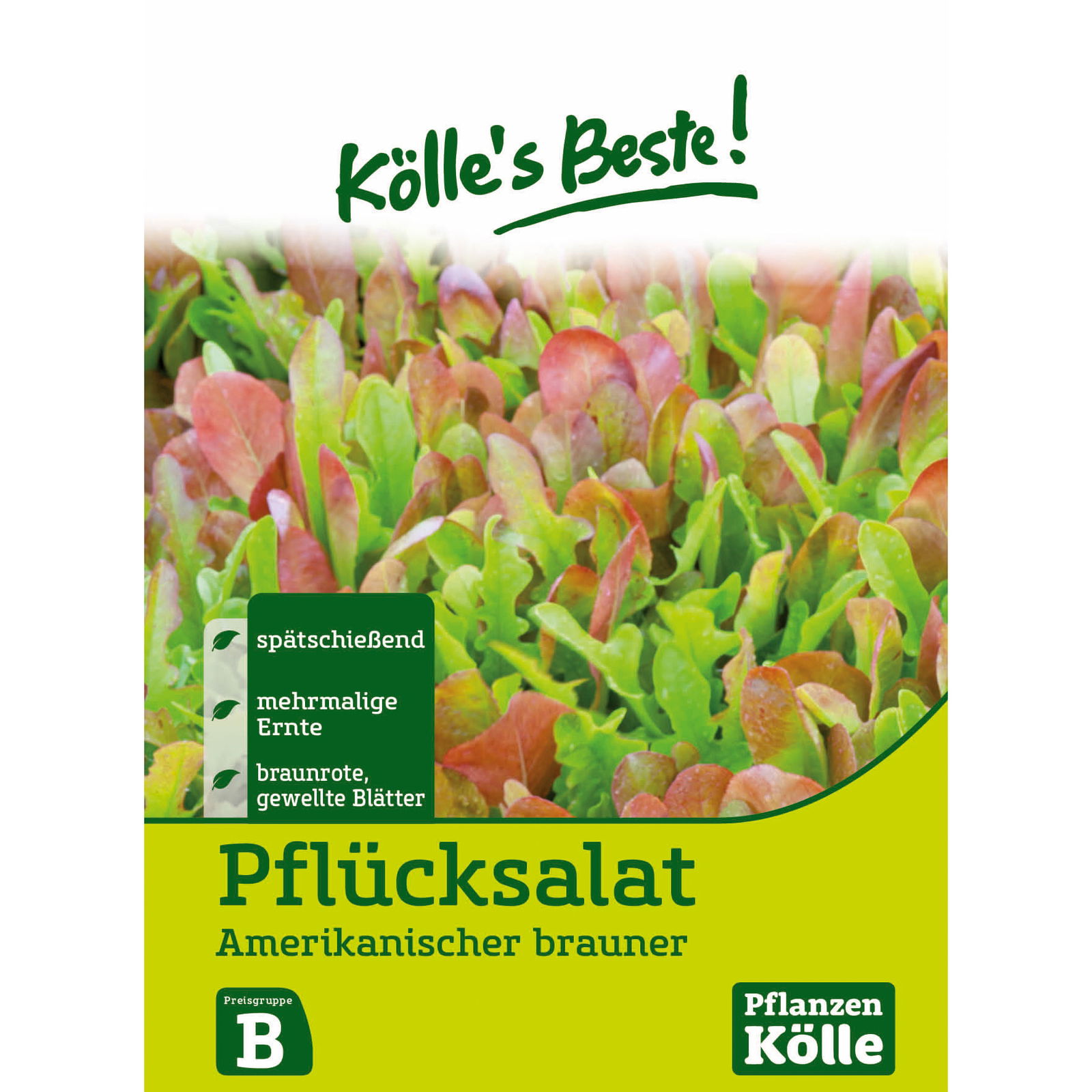 Kölle's Beste Gemüsesamen Pflücksalat 