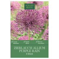 Kölles Beste Zierlauch 'Purple Rain®', lila, 5 Blumenzwiebeln
