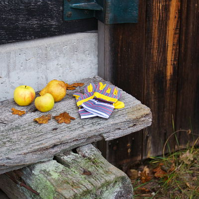 Bosch-Gartenset für Kinder mit Schubkarre, 4 teilig Bosch-Gartenset für Kinder mit Schubkarre, 4 teilig