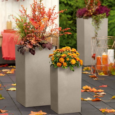 Lechuza 'Canto Stone 30 high', sandbeige, ca. 30 x 30 x H 56 cm