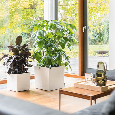 Lechuza 'Cube Premium 30', weiß, ca. 29,5 x 29,5 x H 30 cm Lechuza 'Cube Premium 30', weiß, ca. 29,5 x 29,5 x H 30 cm