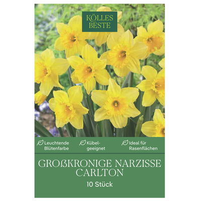 Osterglocken Carlton gelb, 10 Blumenzwiebeln Osterglocken Carlton gelb, 10 Blumenzwiebeln