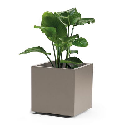 Euro 3 Plast Pflanztrog 'Kebe', taupe, ca. 39,5 x 39,5 x H 39,5 cm Euro 3 Plast Pflanztrog 'Kebe', taupe, ca. 39,5 x 39,5 x H 39,5 cm