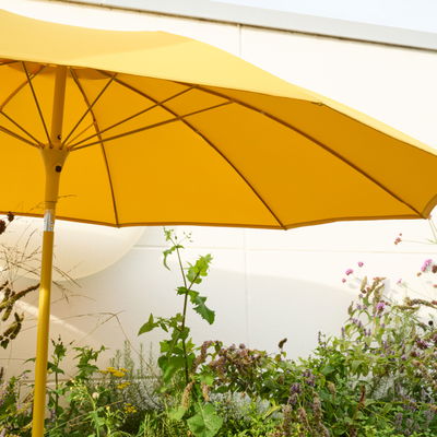 Siena Garden Sonnenschirm 'Paolo', mustard, ca. Ø 270 cm Siena Garden Sonnenschirm 'Paolo', mustard, ca. Ø 270 cm
