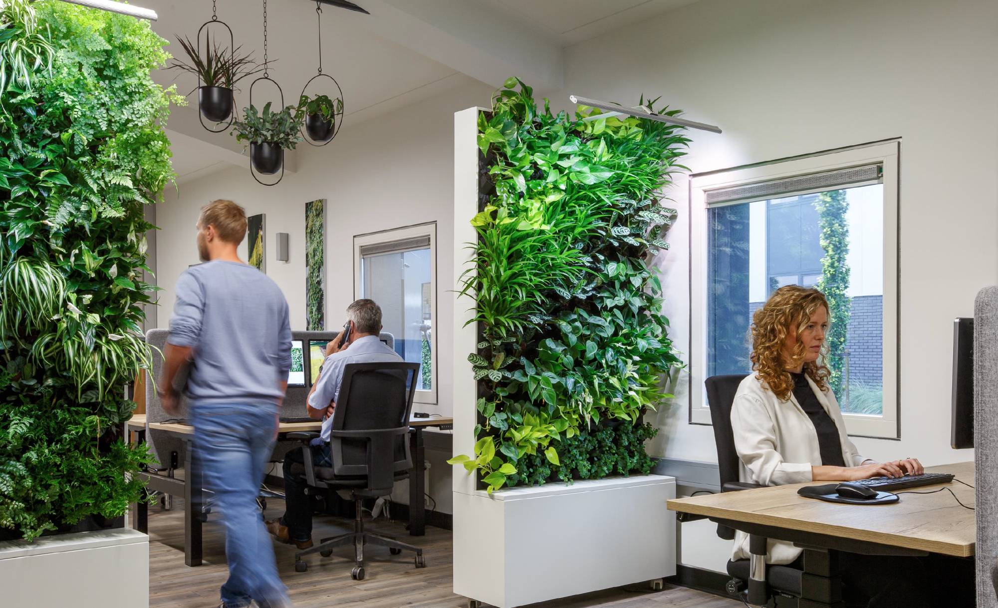 Luftreinigende Raumteiler im Großraumbüro