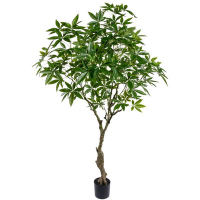 Künstliche Glückskastanie 'Pachira aquatica' Höhe ca. 220 cm