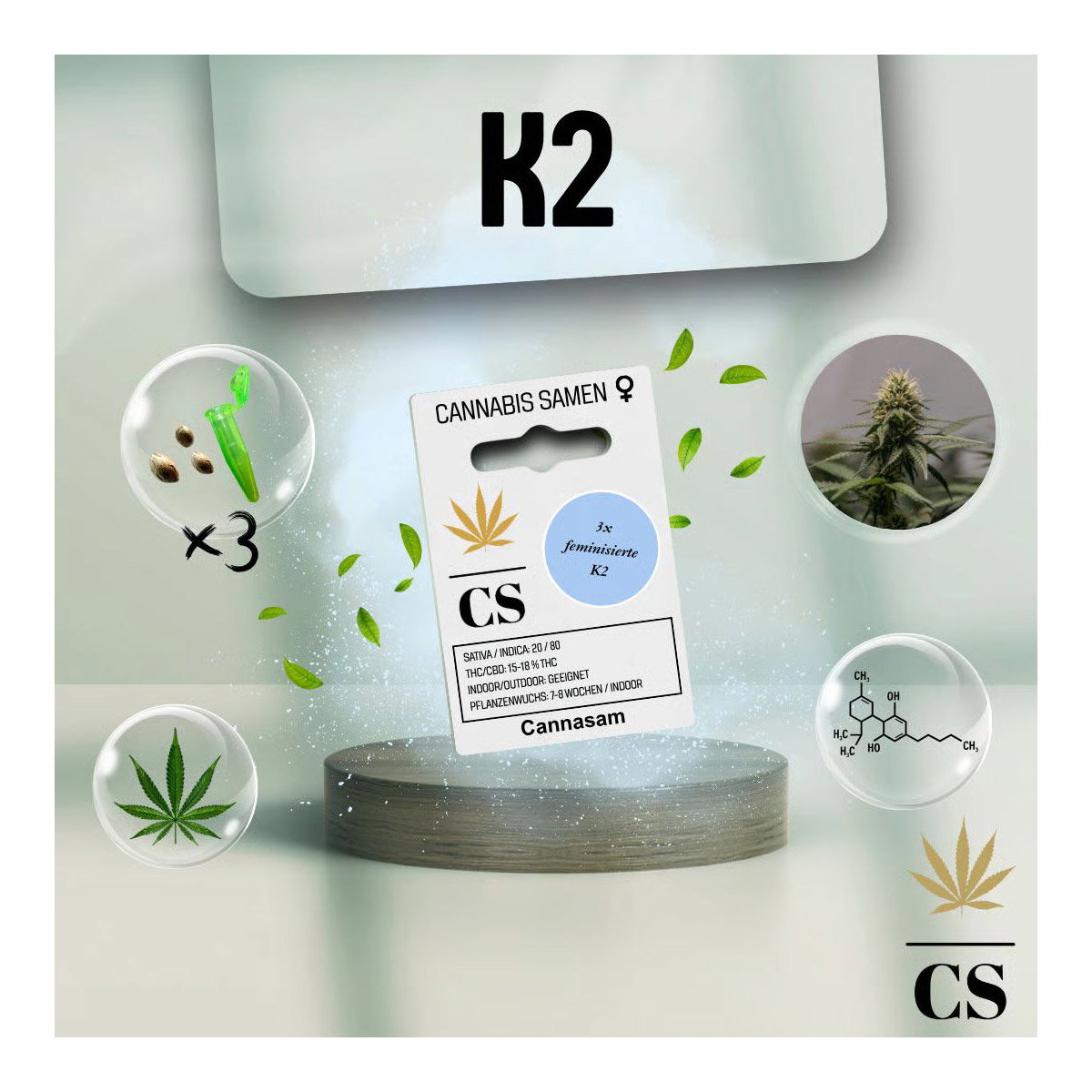 Cannabis Saatgut Hanf 'K2' Cannabis Saatgut Hanf 'K2'