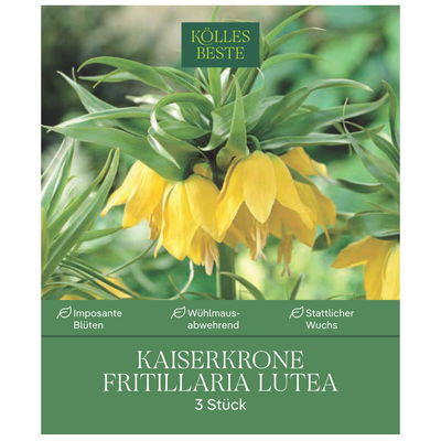 Kaiserkrone (Fritillaria Imperialis Lutea) gelb, 3 Blumenzwiebeln