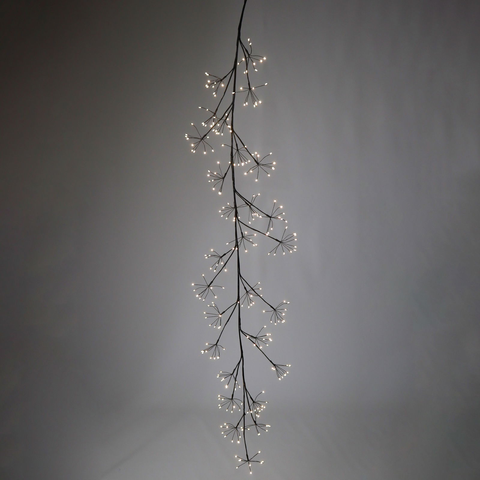LED Cluster 'Dolde', warmweiß, 480 LEDs, Länge ca. 180 cm LED Cluster 'Dolde', warmweiß, 480 LEDs, Länge ca. 180 cm