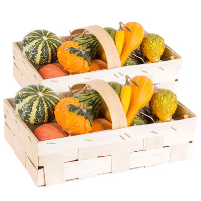 Zier-Kürbis im Spankorb, verschiedene Sorten, 2 Körbe Zier-Kürbis im Spankorb, verschiedene Sorten, 2 Körbe