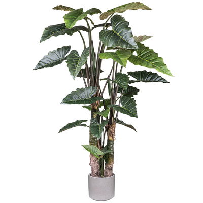 Kunstpflanze Taropflanze, Höhe ca. 260 cm Kunstpflanze Taropflanze, Höhe ca. 260 cm