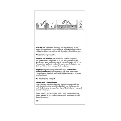 Köllle's Beste XXL Montbretien (Crocosmia) Mischung, 15 Blumenzwiebeln