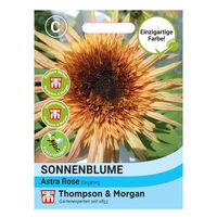 Thompson & Morgen Sonnenblume 