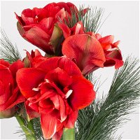 Blumenbund Amaryllis 'Red Nymph' gefüllt & Seidenkiefer,inkl. gratis Grußkarte