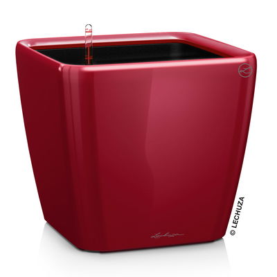 Lechuza 'Quadro LS 43', scarlet-rot, ca. 43 x 43 x H 40 cm