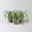 Bio Segge 'Feather Falls', gestreift, Topf-Ø 12 cm, 3 Pflanzen Bio Segge 'Feather Falls', gestreift, Topf-Ø 12 cm, 3 Pflanzen