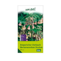 Allium Nectaroscordum Siculum (Zierlauch) creme/rosa, 10 Blumenzwiebeln
